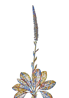 Stained Glass Botanical