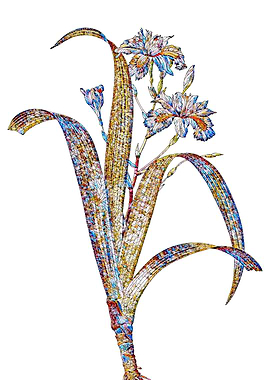 Stained Glass Iris Flower