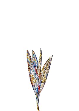 Stained Glass Crocus Flora