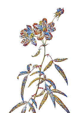 Stained Glass Rose Flower