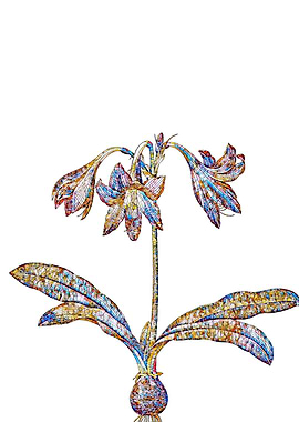 Stained Glass Amaryllis