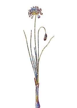 Stained Glass Botanical