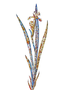 Stained Glass Iris Flower