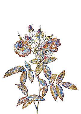 Stained Glass Rose Flower