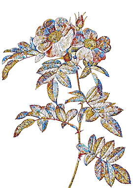 Stained Glass Rose Flower