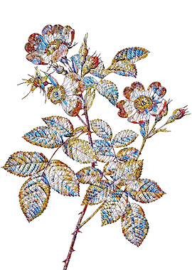 Stained Glass Rose Flower