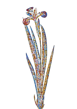 Stained Glass Botanical