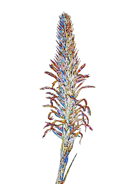 Rainbow Mosaic Flower