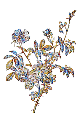 Stained Glass Rose Flower