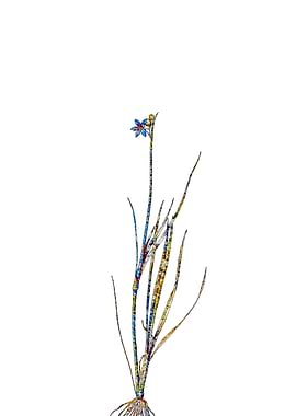 Rainbow Mosaic Flower