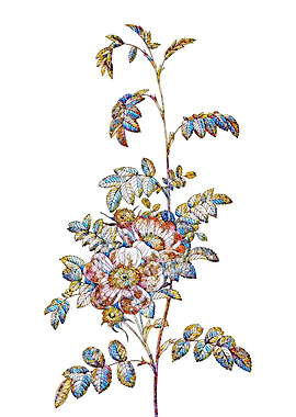 Stained Glass Rose Flower