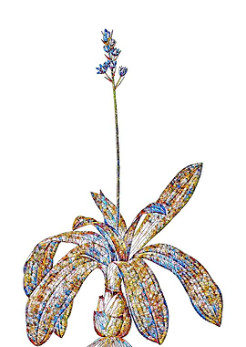 Rainbow Mosaic Flower