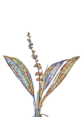 Rainbow Mosaic Flower