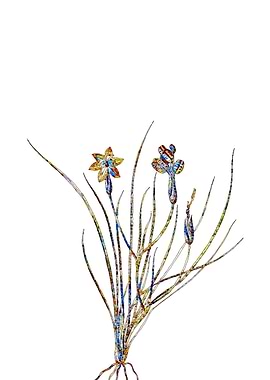 Stained Glass Botanical