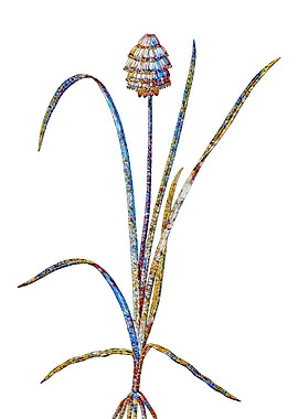 Prismatic Mosaic Floral