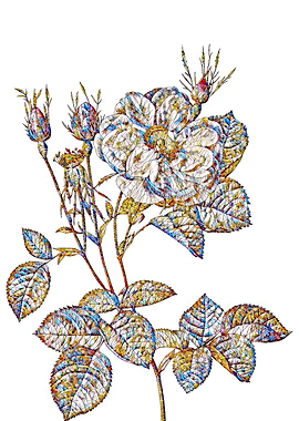 Stained Glass Rose Flower