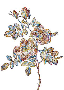 Stained Glass Rose Flower