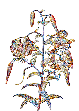 Stained Glass Lily Flower