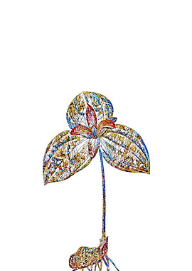 Prismatic Mosaic Floral