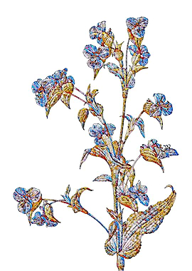 Stained Glass Botanical