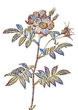 Rainbow Mosaic Flower