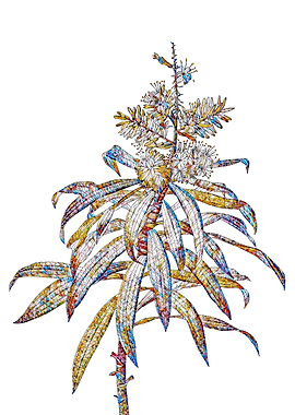 Rainbow Mosaic Flower