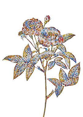 Stained Glass Rose Flower