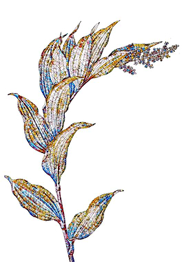 Prismatic Mosaic Floral