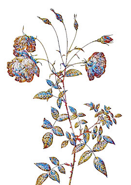 Stained Glass Rose Flower