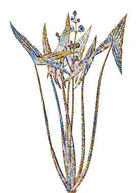 Stained Glass Botanical