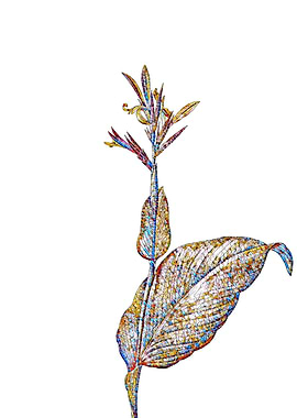 Stained Glass Botanical