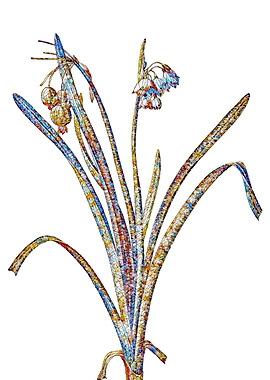 Prismatic Mosaic Floral