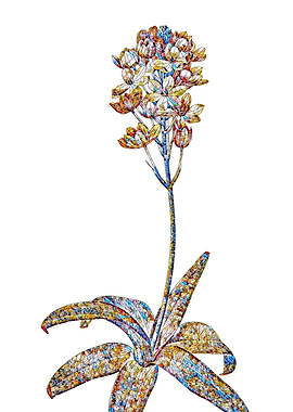 Prismatic Mosaic Floral