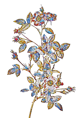 Stained Glass Rose Flower