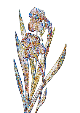 Stained Glass Iris Flower