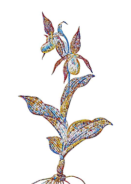 Stained Glass Botanical