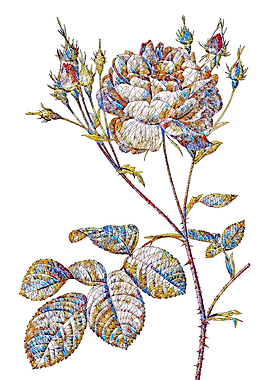 Stained Glass Rose Flower