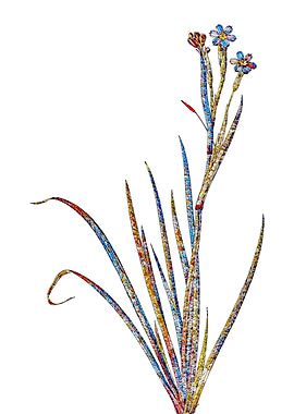 Stained Glass Botanical