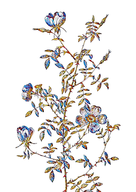 Stained Glass Rose Flower