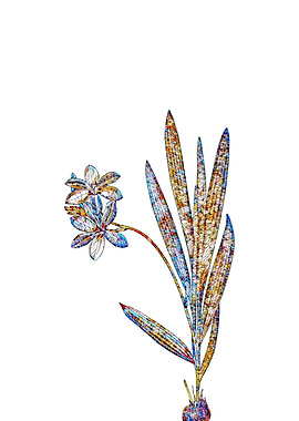 Stained Glass Gladiolus