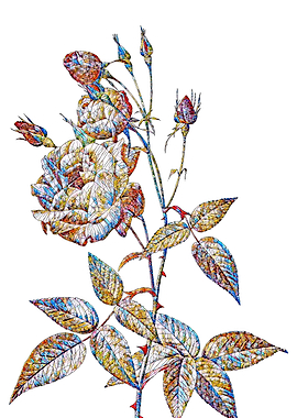 Stained Glass Rose Flower