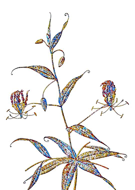 Stained Glass Lily Flower