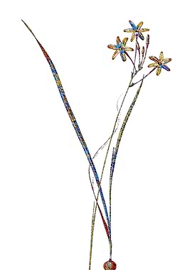 Stained Glass Ixia Flower