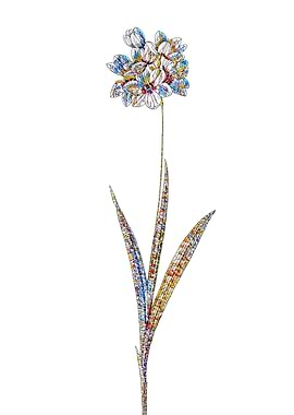 Stained Glass Ixia Flower