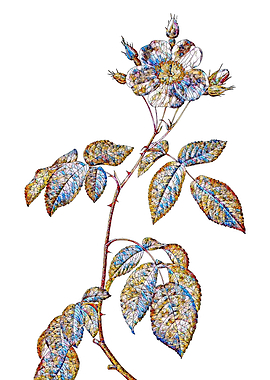 Stained Glass Rose Flower