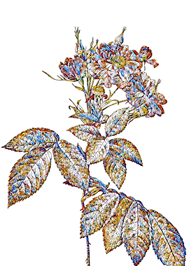 Stained Glass Rose Flower