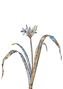 Rainbow Mosaic Flower