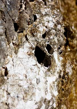 Sea rocks fine art prints