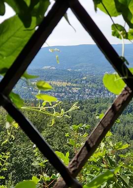 Ruin Caged Landscape