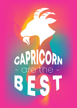 Capricorn Best 14